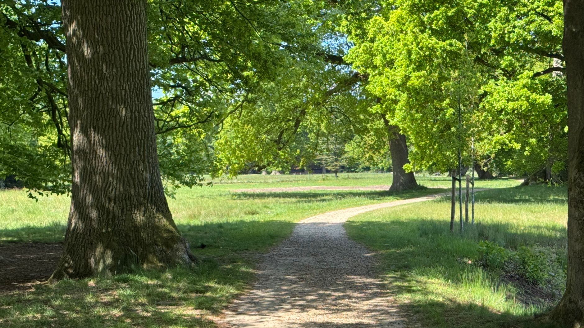 Lutte contre les nuisibles à Colombes